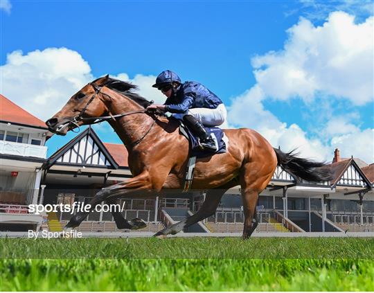 Horse Racing from Chester Racecourse