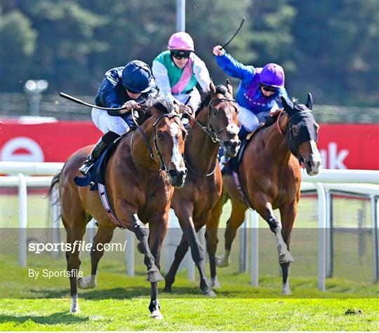 Horse Racing from Chester Racecourse