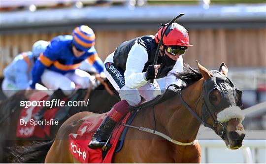 Horse Racing from Chester Racecourse