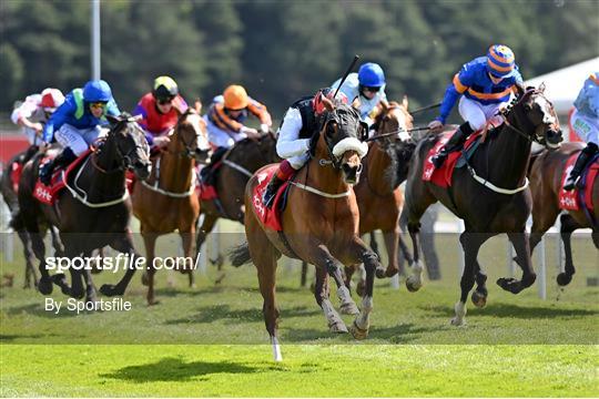 Horse Racing from Chester Racecourse