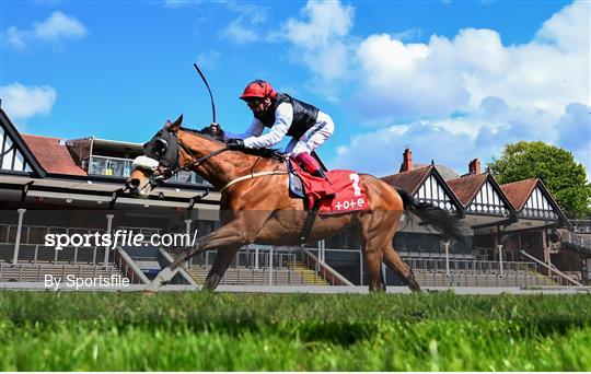 Horse Racing from Chester Racecourse