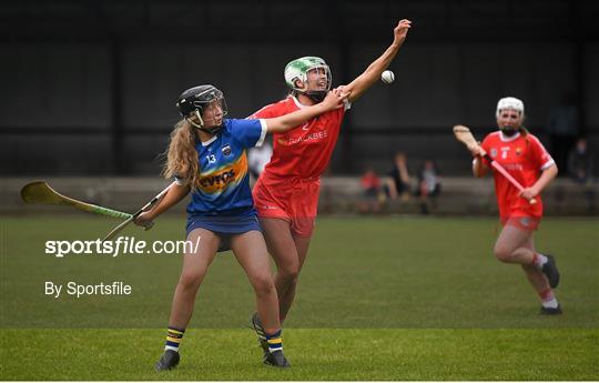 Tipperary v Cork -  Littlewoods Ireland National Camogie League Division 2 Group 2