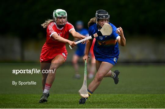 Tipperary v Cork -  Littlewoods Ireland National Camogie League Division 2 Group 2