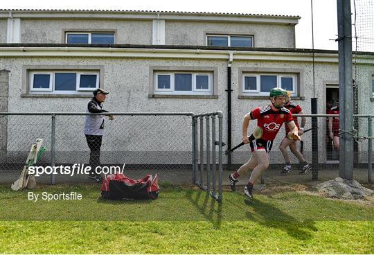 Down v Carlow - Allianz Hurling League Division 2A Round 2