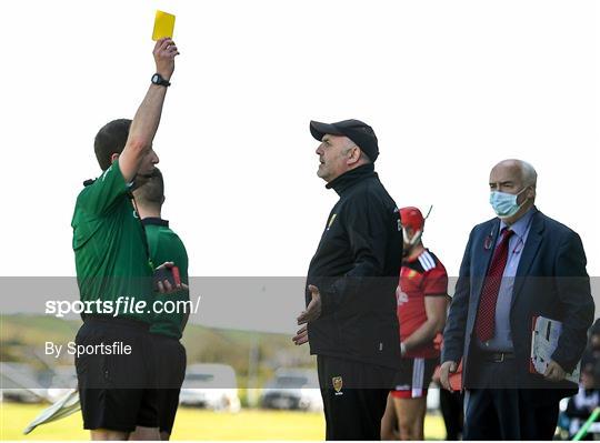 Down v Carlow - Allianz Hurling League Division 2A Round 2