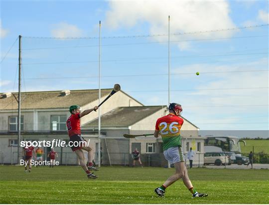 Down v Carlow - Allianz Hurling League Division 2A Round 2