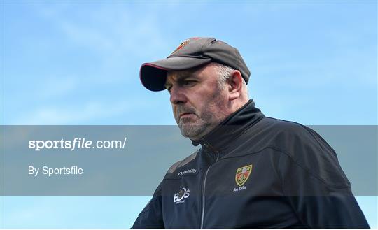 Down v Carlow - Allianz Hurling League Division 2A Round 2 Down v Carlow - Allianz Hurling League Division 2A Round 2