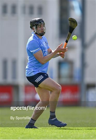 Dublin v Kilkenny - Allianz Hurling League Division 1 Group B Round 1