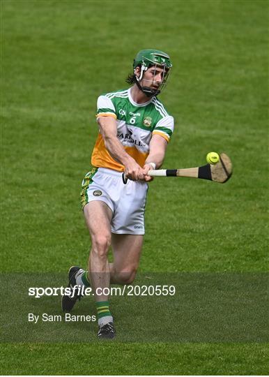 Offaly v Down - Allianz Hurling League Division 2A Round 4