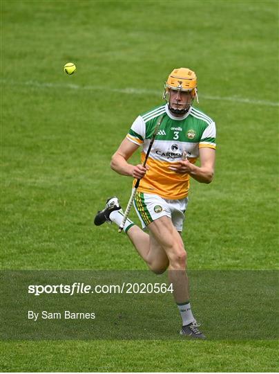 Offaly v Down - Allianz Hurling League Division 2A Round 4