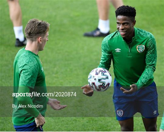 Republic of Ireland Training Session Republic of Ireland Training Session