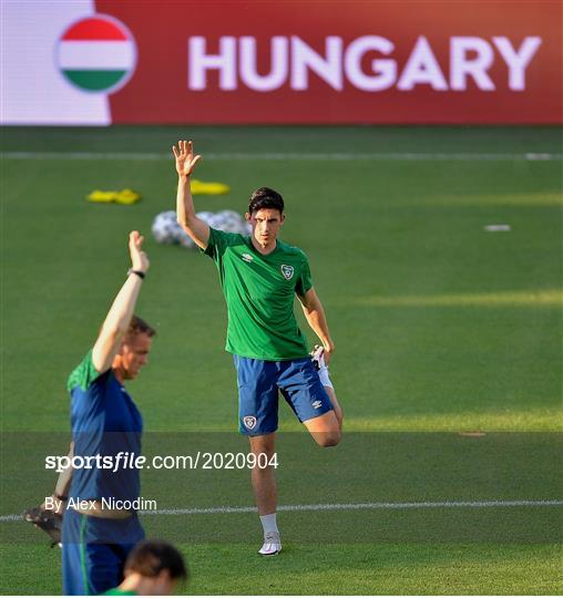 Republic of Ireland Training Session Republic of Ireland Training Session
