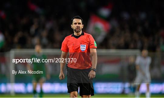 Hungary v Republic of Ireland - International Friendly Hungary v Republic of Ireland - International Friendly