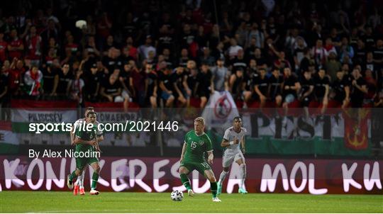Hungary v Republic of Ireland - International Friendly Hungary v Republic of Ireland - International Friendly