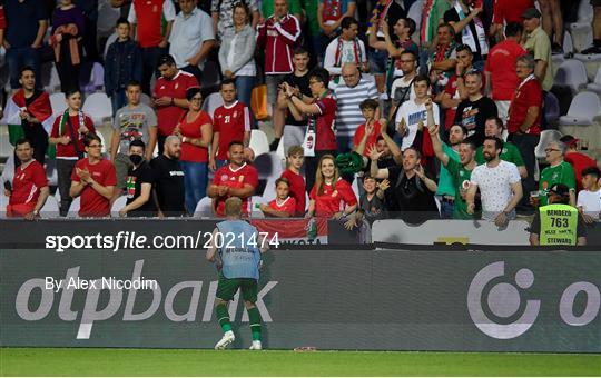 Hungary v Republic of Ireland - International Friendly