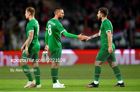 Hungary v Republic of Ireland - International Friendly Hungary v Republic of Ireland - International Friendly