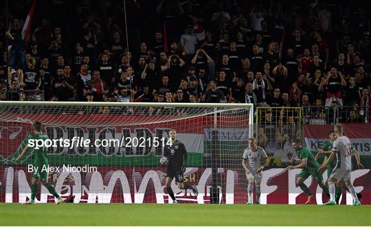 Hungary v Republic of Ireland - International Friendly Hungary v Republic of Ireland - International Friendly