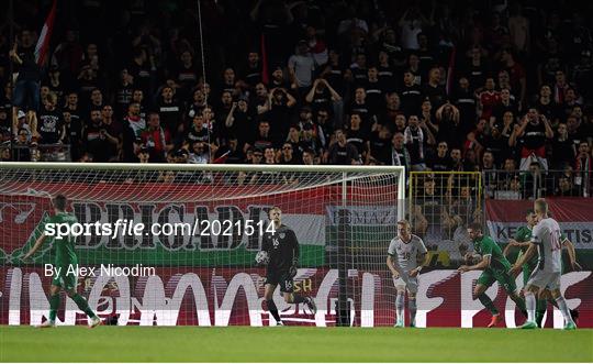 Hungary v Republic of Ireland - International Friendly