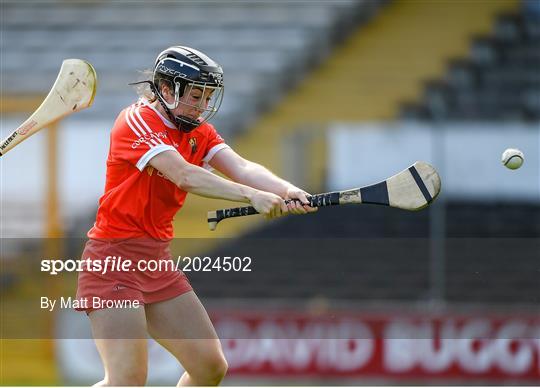 Cork v Galway - Littlewoods Ireland National Camogie League Division 1 Semi-Final