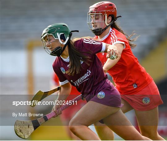 Cork v Galway - Littlewoods Ireland National Camogie League Division 1 Semi-Final
