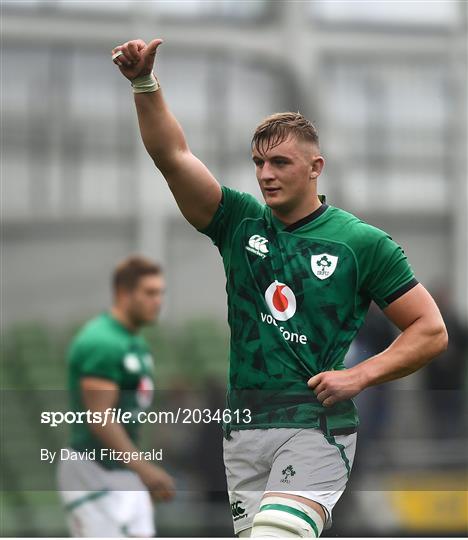 Ireland v Japan - International Rugby Friendly Ireland v Japan - International Rugby Friendly