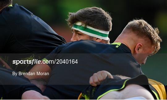 Ireland v USA - International Rugby Friendly Ireland v USA - International Rugby Friendly