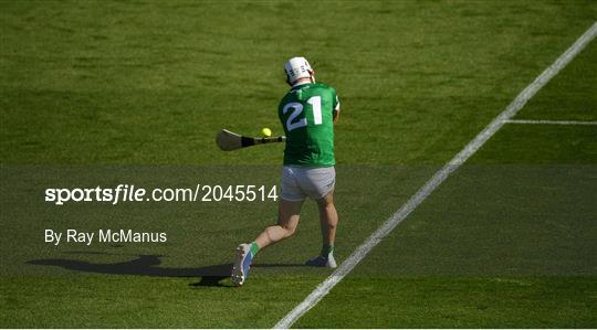 Limerick v Tipperary - Munster GAA Hurling Senior Championship Final