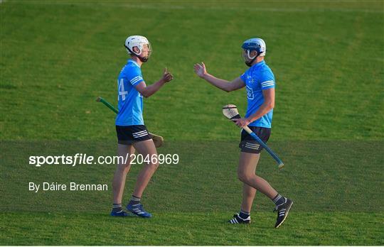 Dublin v Offaly - Leinster GAA U20 Hurling Championship Semi-Final