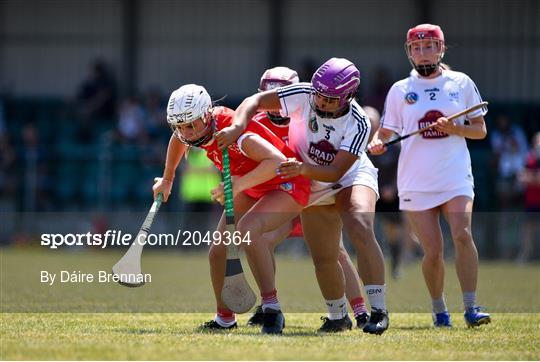 Kildare v Cork - All Ireland Intermediate Camogie Championship