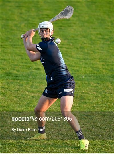 Dublin v Offaly - Leinster GAA U20 Hurling Championship Semi-Final