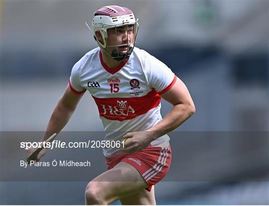 Derry v Offaly  - Christy Ring Cup Final