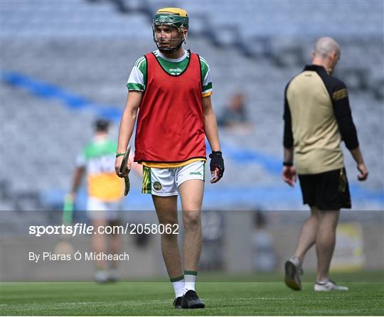 Derry v Offaly  - Christy Ring Cup Final