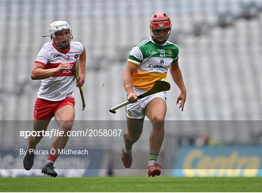 Derry v Offaly  - Christy Ring Cup Final