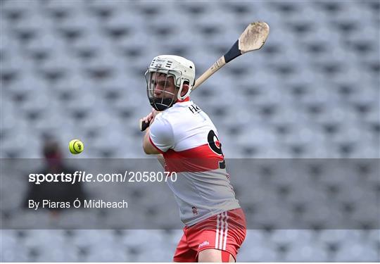 Derry v Offaly  - Christy Ring Cup Final