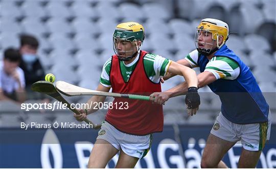 Derry v Offaly  - Christy Ring Cup Final