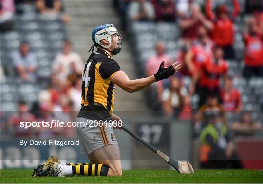 Kilkenny v Cork - GAA Hurling All-Ireland Senior Championship Semi-Final