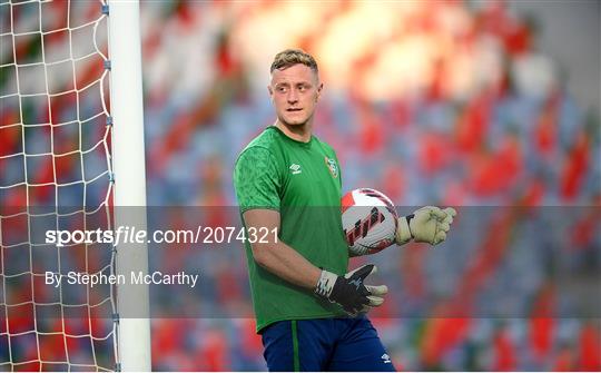 Republic of Ireland Training Session & Press Conference Republic of Ireland Training Session & Press Conference