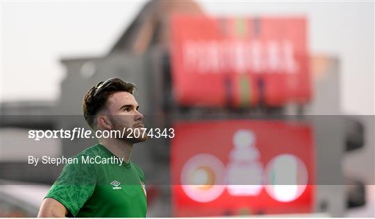 Republic of Ireland Training Session & Press Conference Republic of Ireland Training Session & Press Conference