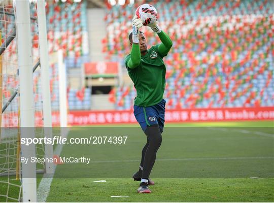 Republic of Ireland Training Session & Press Conference Republic of Ireland Training Session & Press Conference