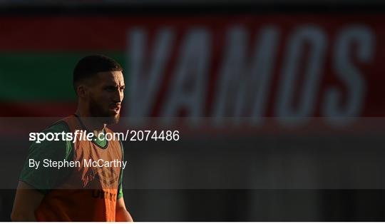 Republic of Ireland Training Session & Press Conference Republic of Ireland Training Session & Press Conference