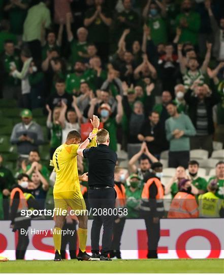 Republic of Ireland v Serbia - FIFA World Cup 2022 Qualifier Republic of Ireland v Serbia - FIFA World Cup 2022 Qualifier