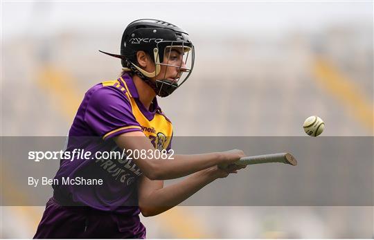 Armagh v Wexford - All-Ireland Premier Junior Camogie Championship Final