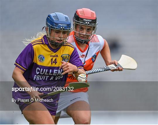 Armagh v Wexford - All-Ireland Premier Junior Camogie Championship Final Armagh v Wexford - All-Ireland Premier Junior Camogie Championship Final