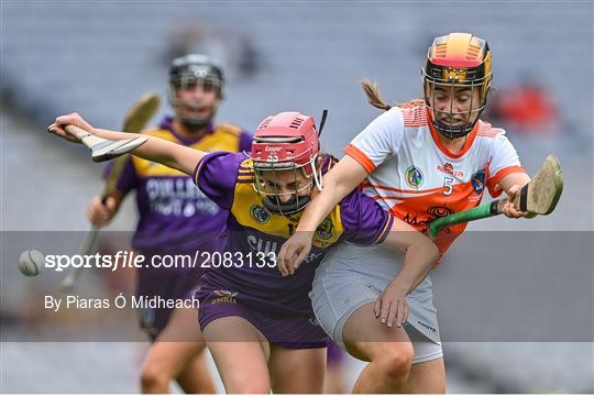 Armagh v Wexford - All-Ireland Premier Junior Camogie Championship Final