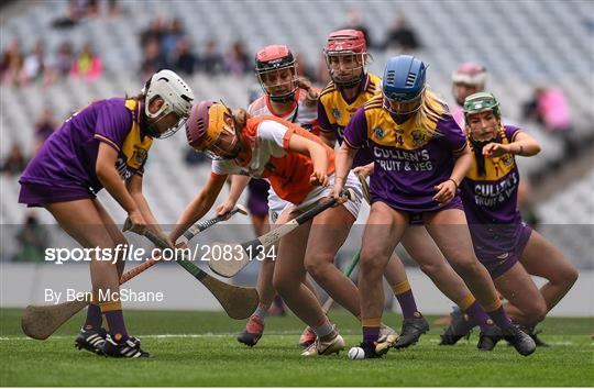 Armagh v Wexford - All-Ireland Premier Junior Camogie Championship Final Armagh v Wexford - All-Ireland Premier Junior Camogie Championship Final