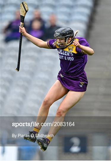 Armagh v Wexford - All-Ireland Premier Junior Camogie Championship Final