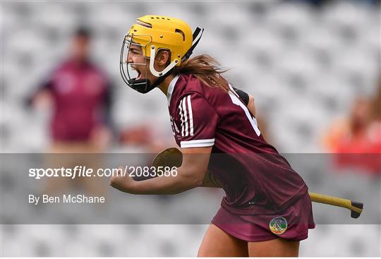 Cork v Galway - All-Ireland Senior Camogie Championship Final