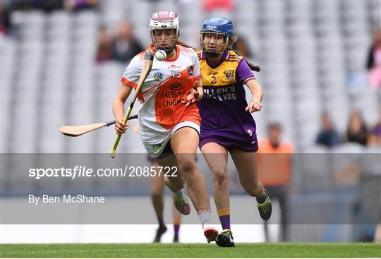 Armagh v Wexford - All-Ireland Premier Junior Camogie Championship Final