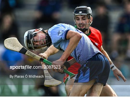 St Anne's Rathangan v Rapparees - Wexford Senior County Hurling Championship Final