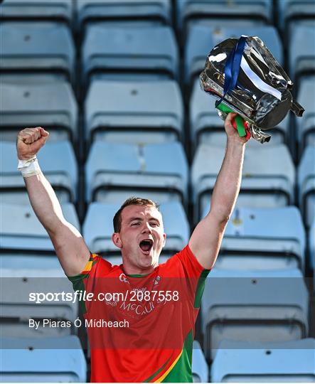 St Anne's Rathangan v Rapparees - Wexford Senior County Hurling Championship Final